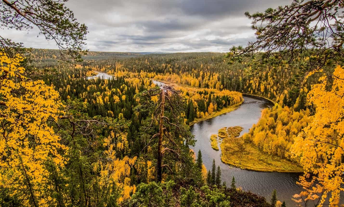 Oulanka Wilderness