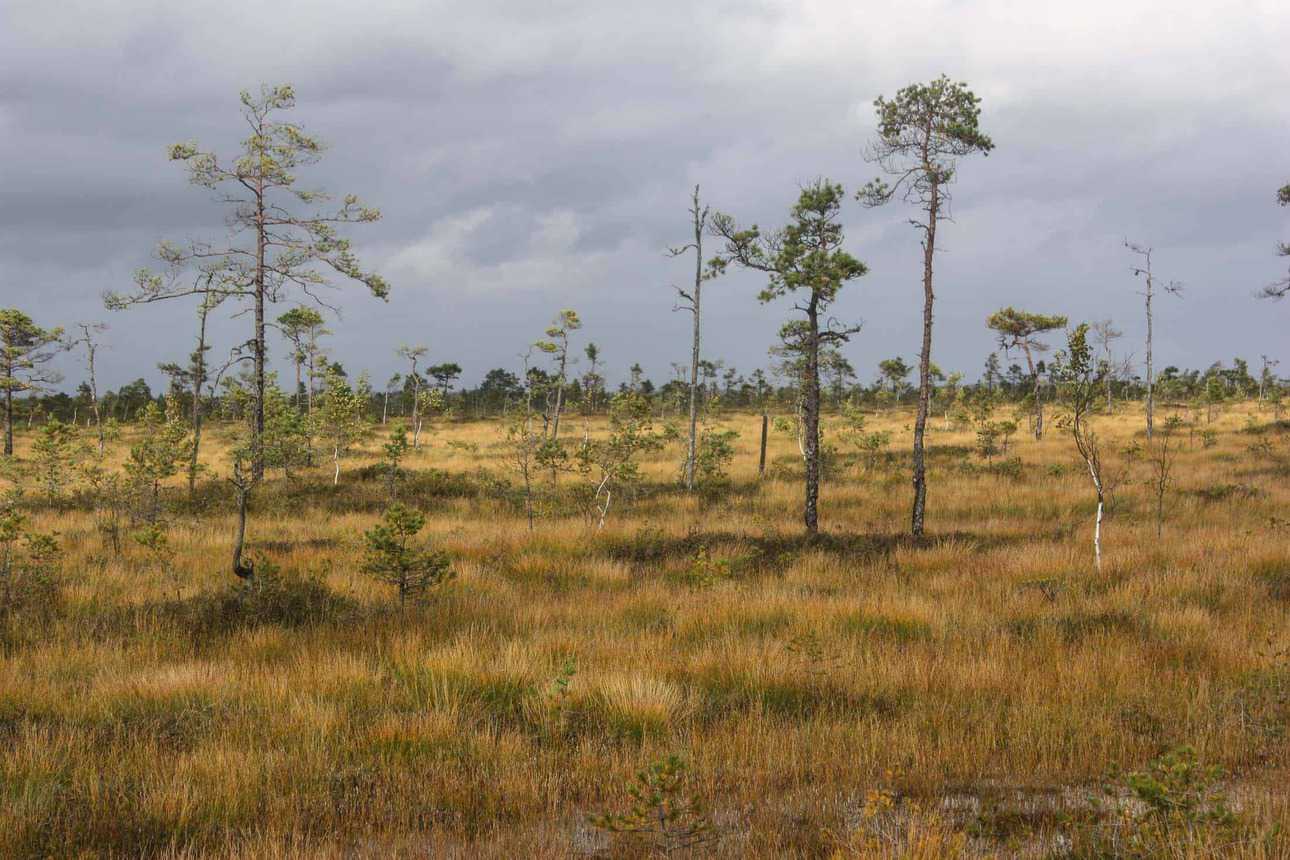 Teiču Wilderness
