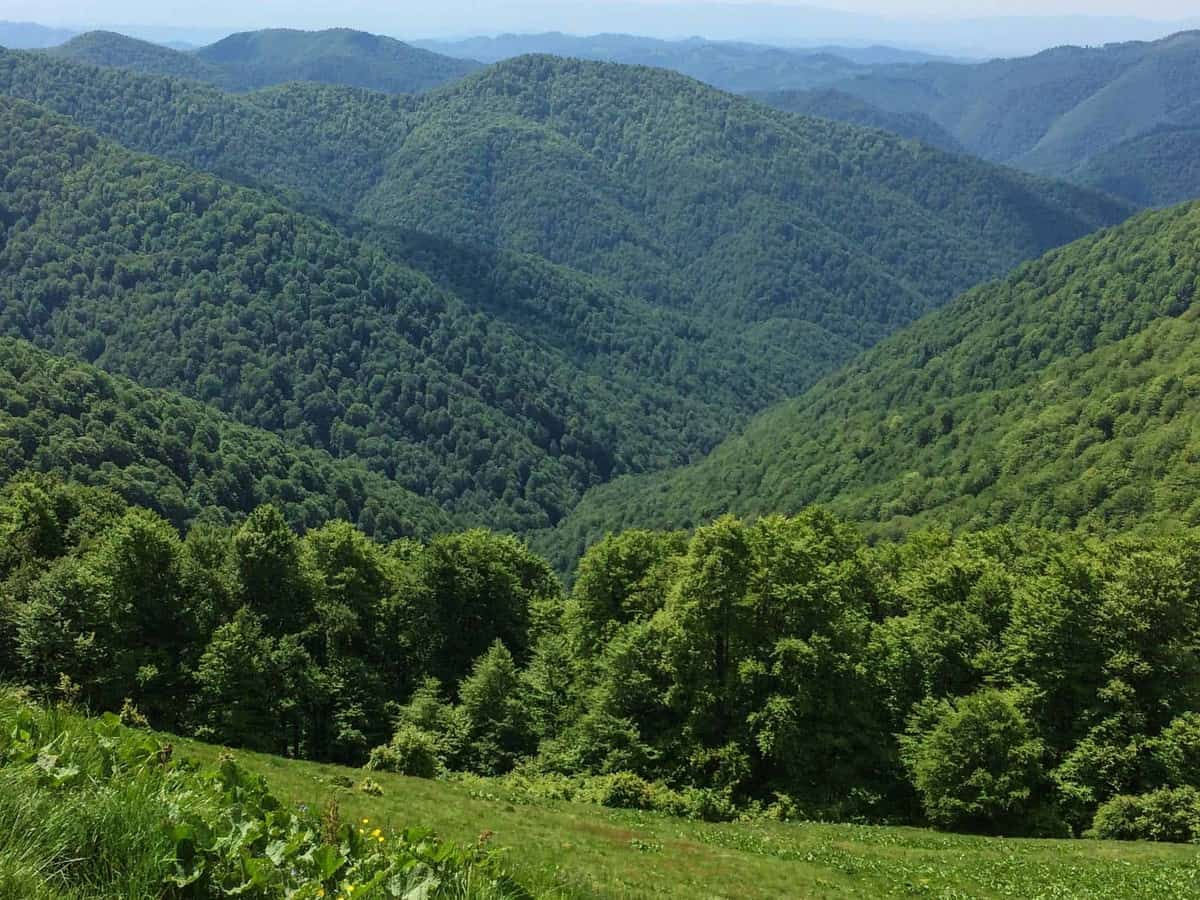 Uholka-Shyrokyy Luh Wilderness