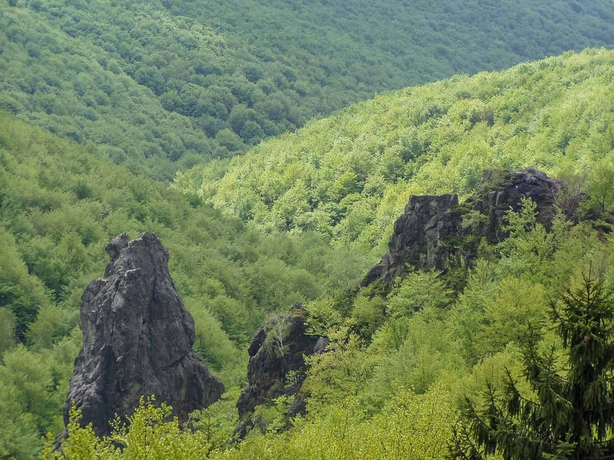 Zacharovanyy Kray Wilderness