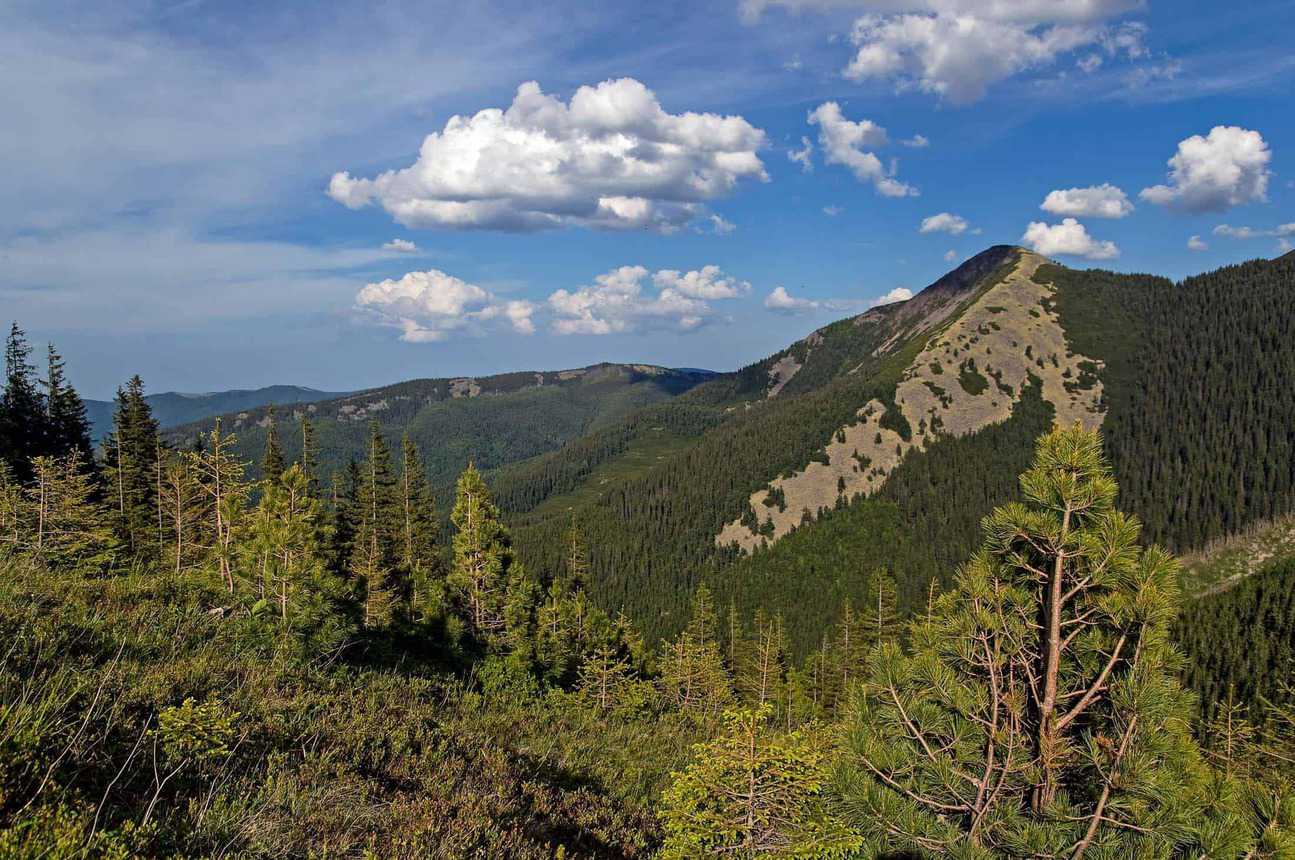 Gorgany Wilderness