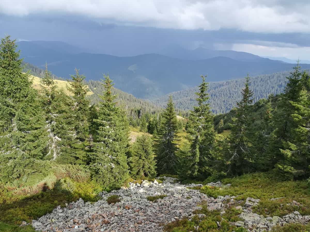 Maramarosh Wilderness