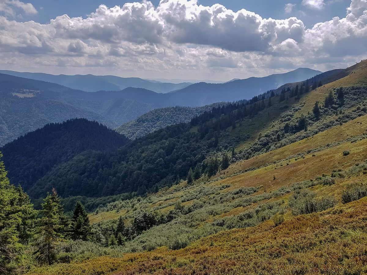 Darvaika Wilderness