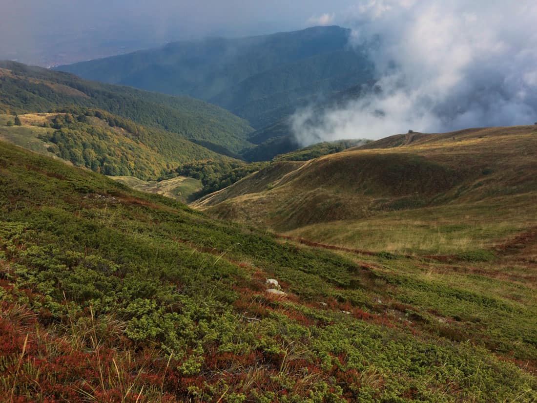 Kongura Wilderness Candidate