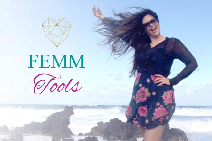 FEMM Tools Product