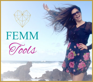 FEMM Tools Logo