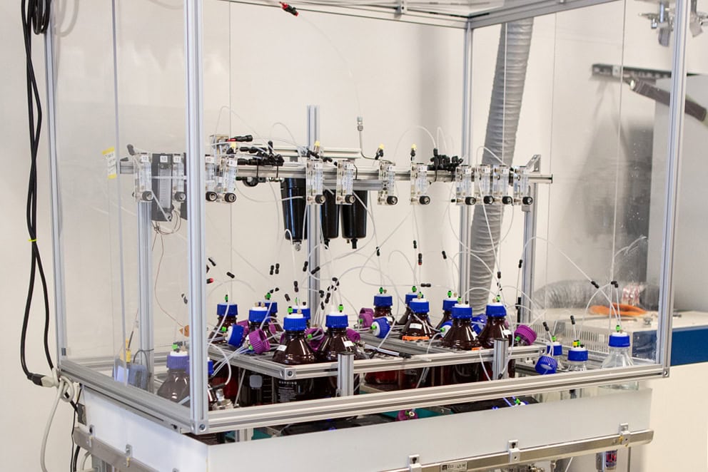 Novvi Testing Evolve oils