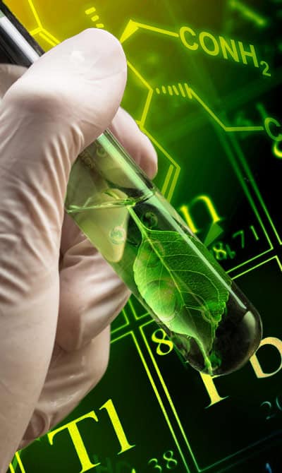 Evolve Plant based oil technology