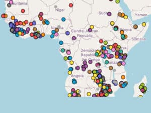 Non-Petroleum Lubricants in African Industries: The Rise of Evolve Lubricants