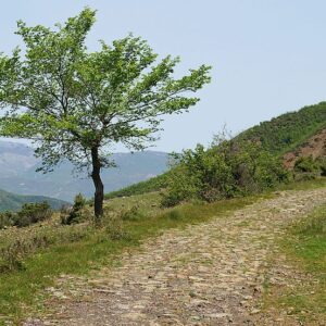 Via Egnatia - PRIVATE TOUR