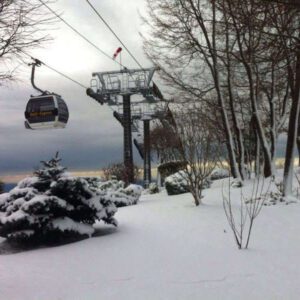 DAJTI - With SNOW