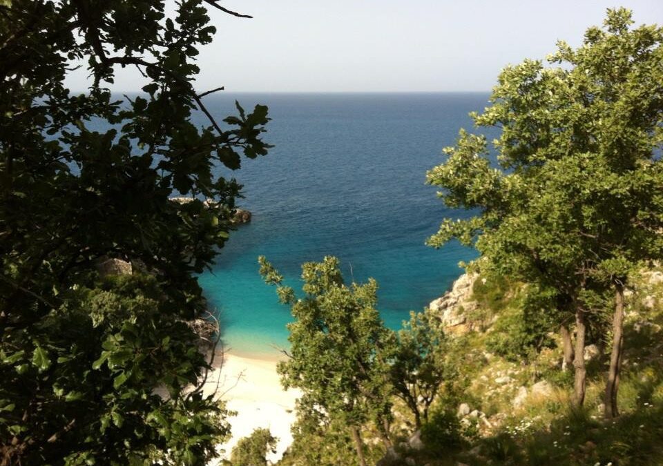Why Albania – by Robin Holleran
