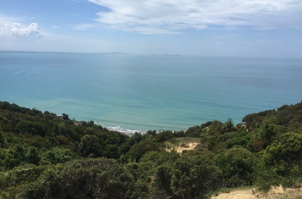 Low Cost Albania – by Robin Holleran
