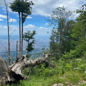Mt. Dajti RIDGE - Group Hike