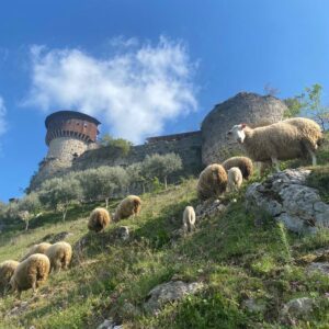 Petrela Loop - Group Tour