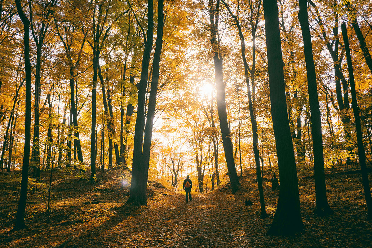 Bathurst Trails: Wanderlust in the Wilderness - Experience New Brunswick