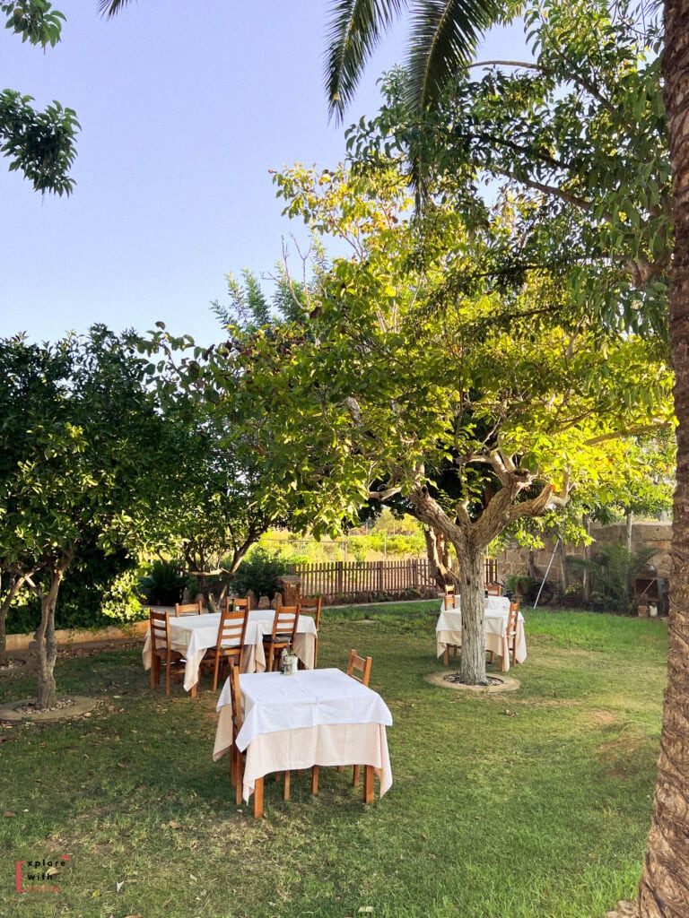 Charming outdoor dining area set under fruit trees with white-clothed wooden tables and chairs arranged on a grassy lawn, surrounded by palm fronds and Mediterranean vegetation with a rustic wooden fence in the background.
