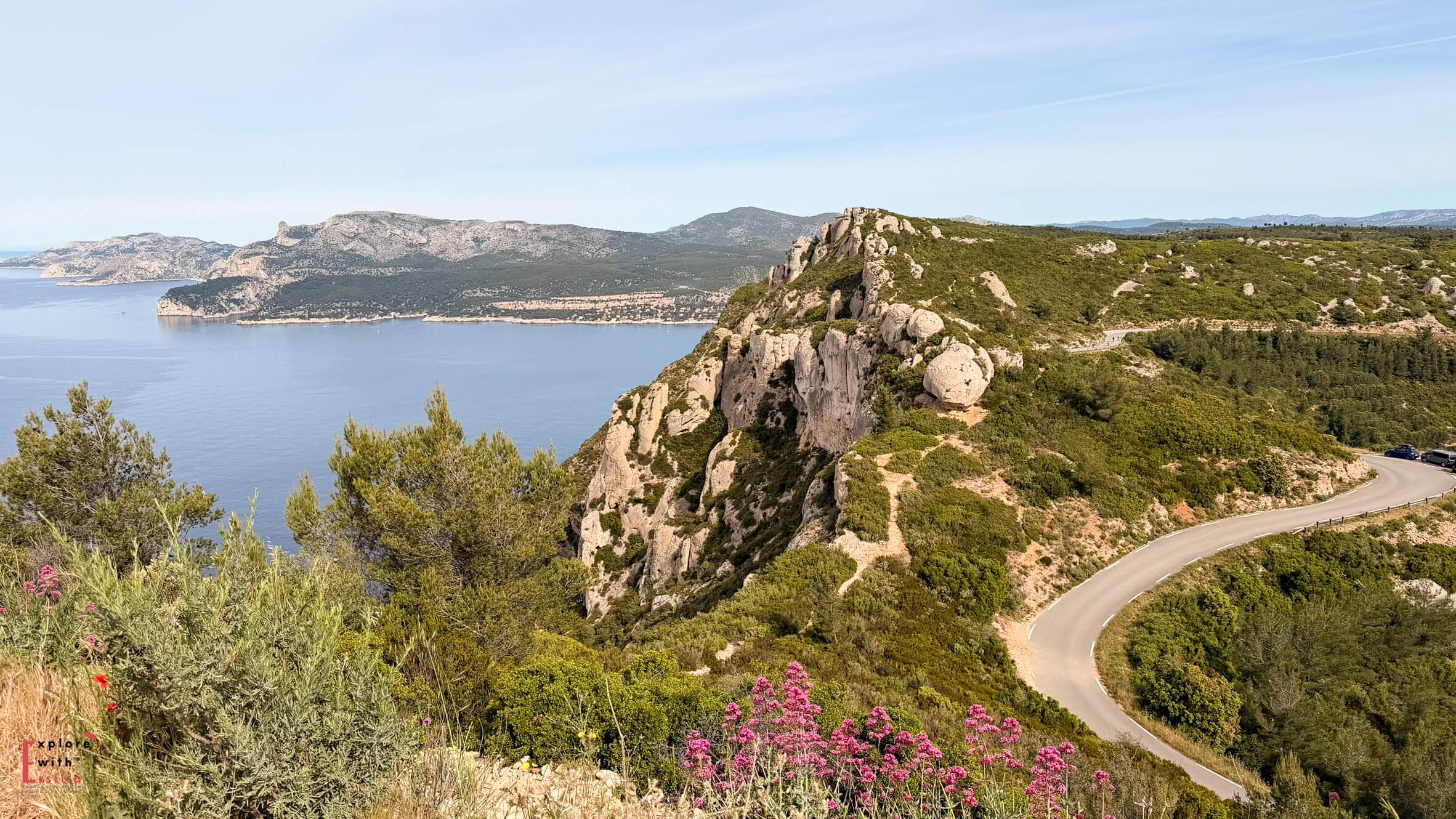 Wildflowers blooming across a grassy hillside in spring with soft pink and yellow flowers filling the foreground. Winding coastal road above dramatic cliffs and blue Mediterranean waters between La Ciotat and Cassis.
