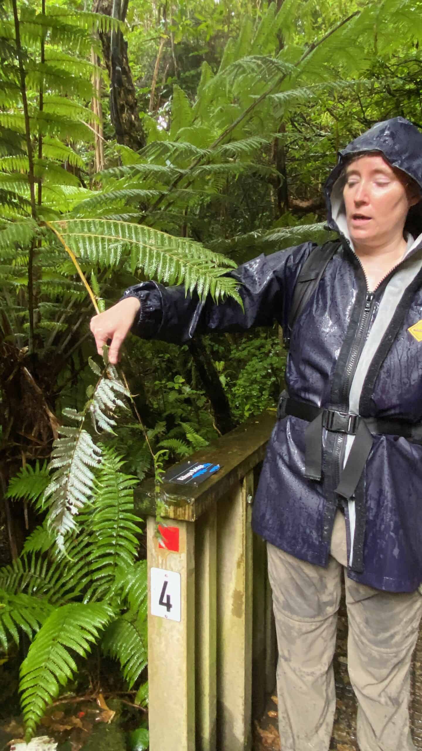 Very engaging guide at Zealandia