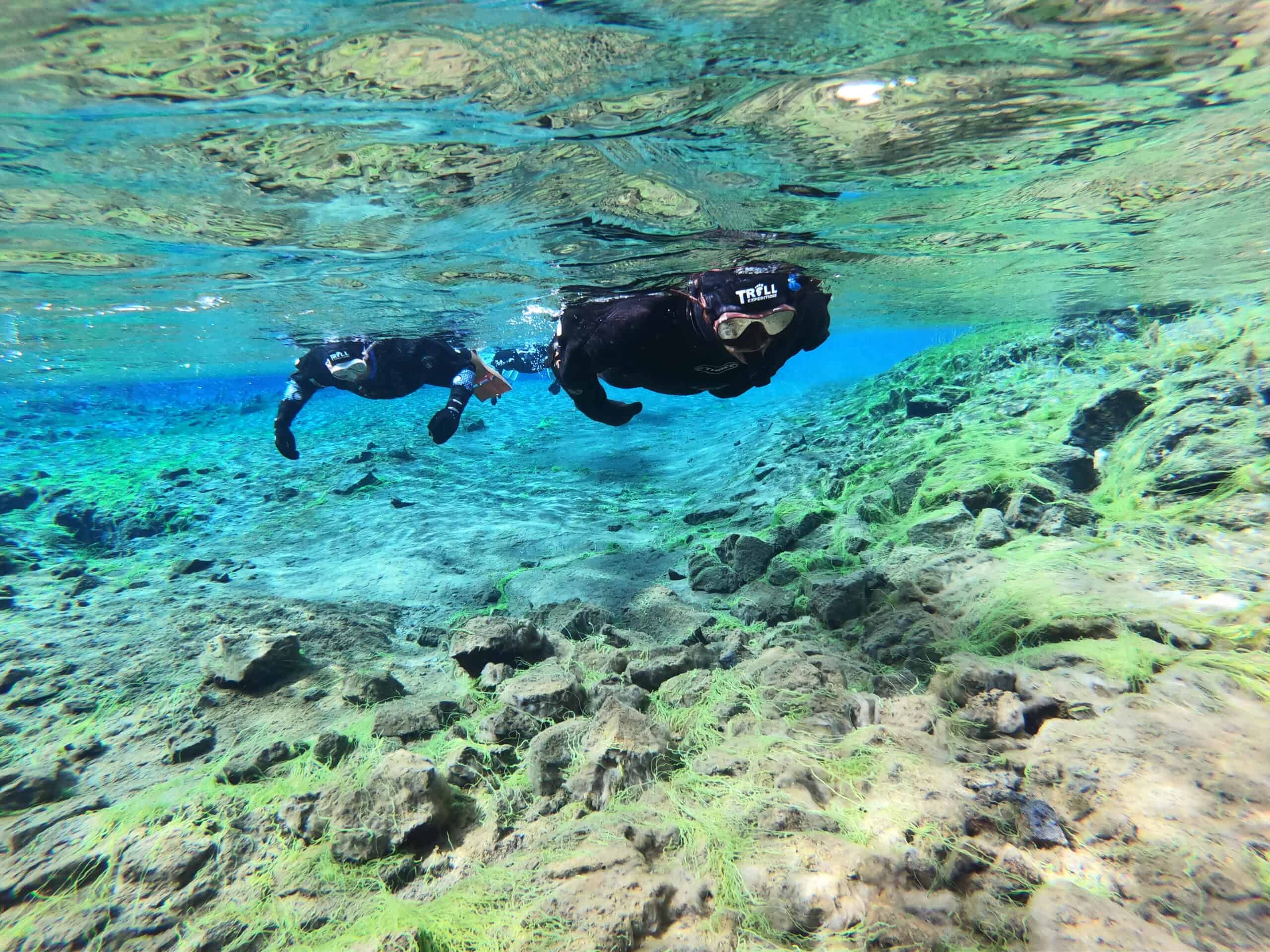 Enjoying our swim in Silfra