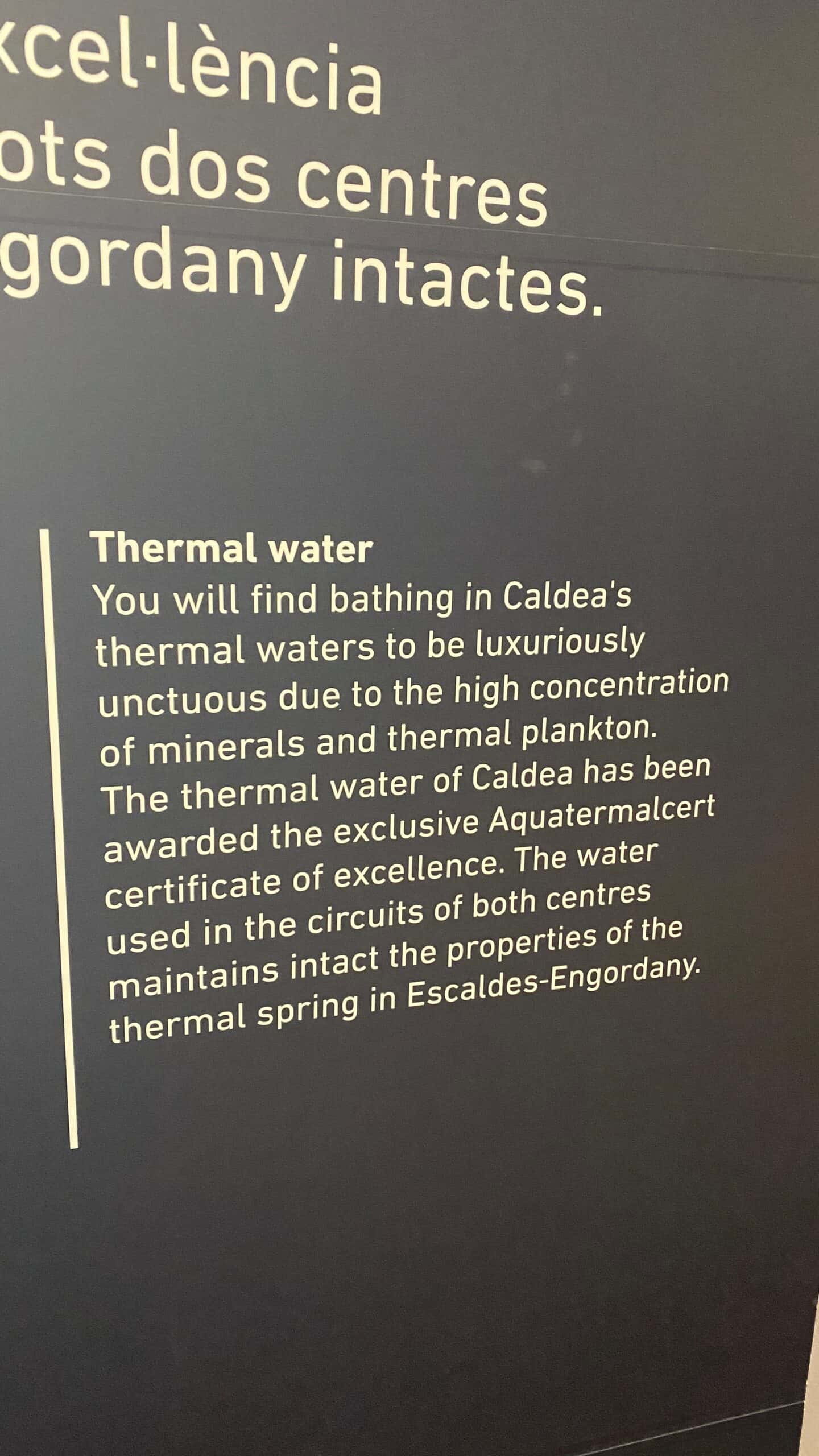 The explanation about the thermal water at Caldea Andorra