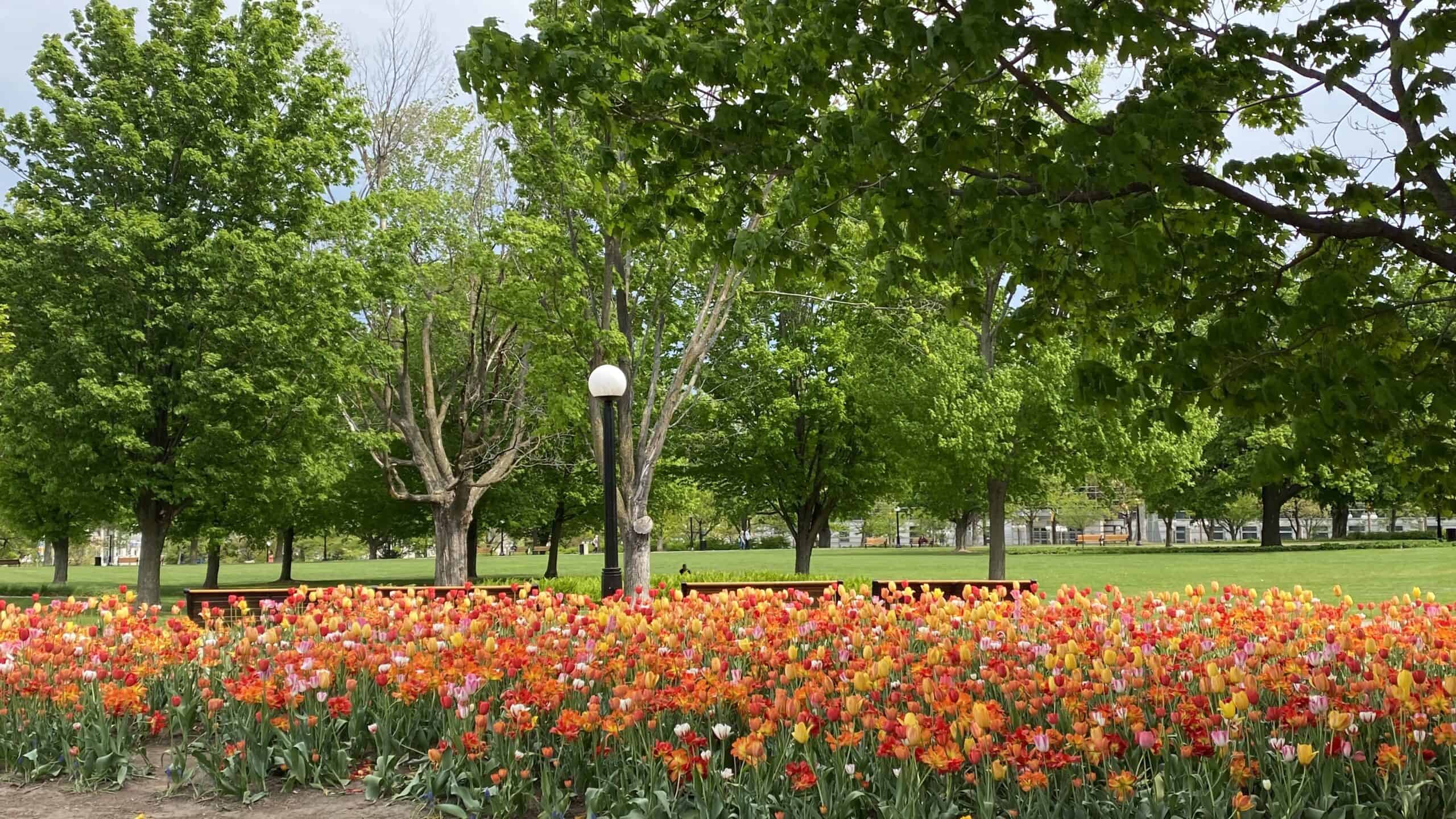 Major's Hill Park in Ottawa