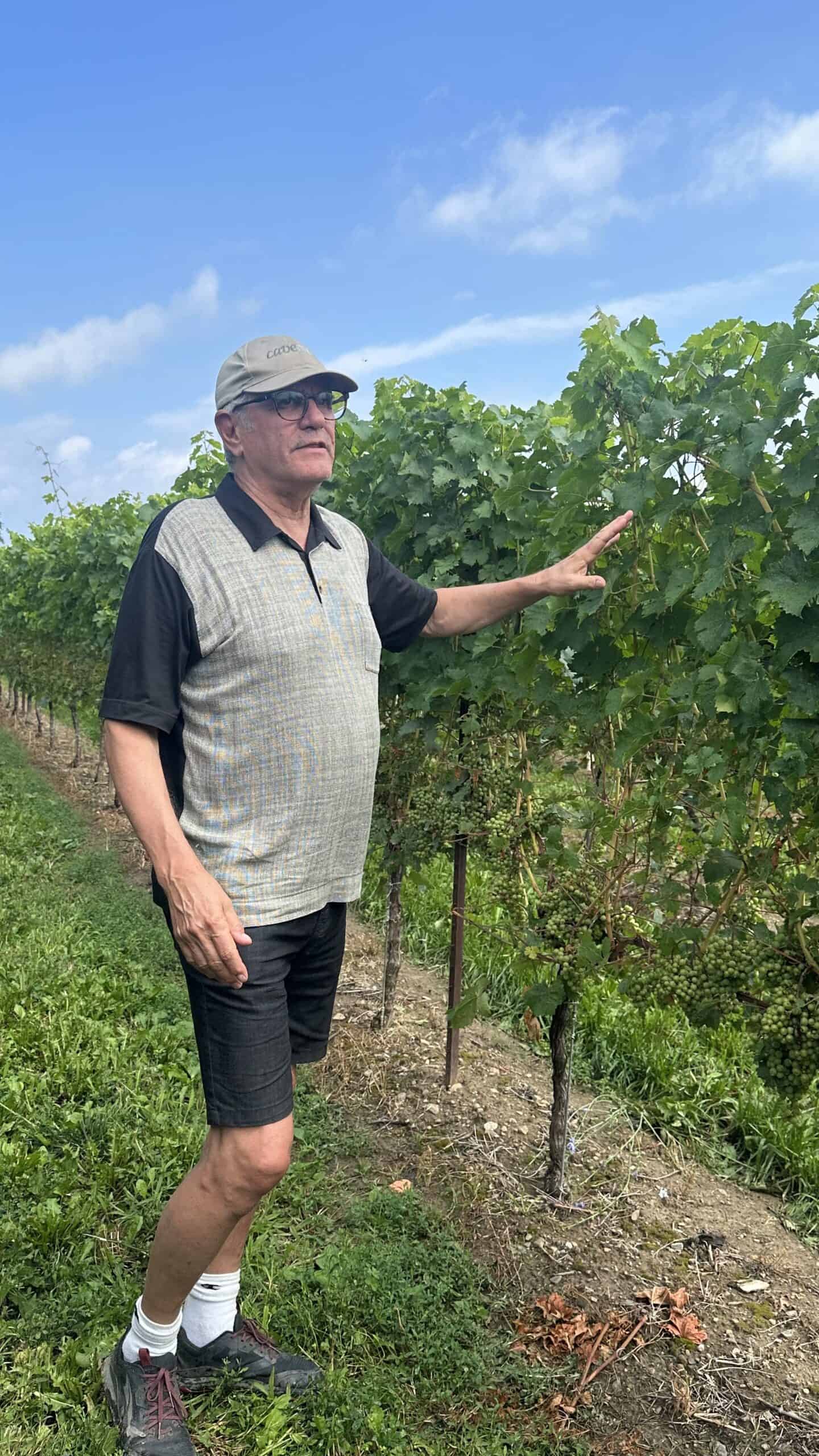 Len from Cave Springs giving us a tour of the vineyard