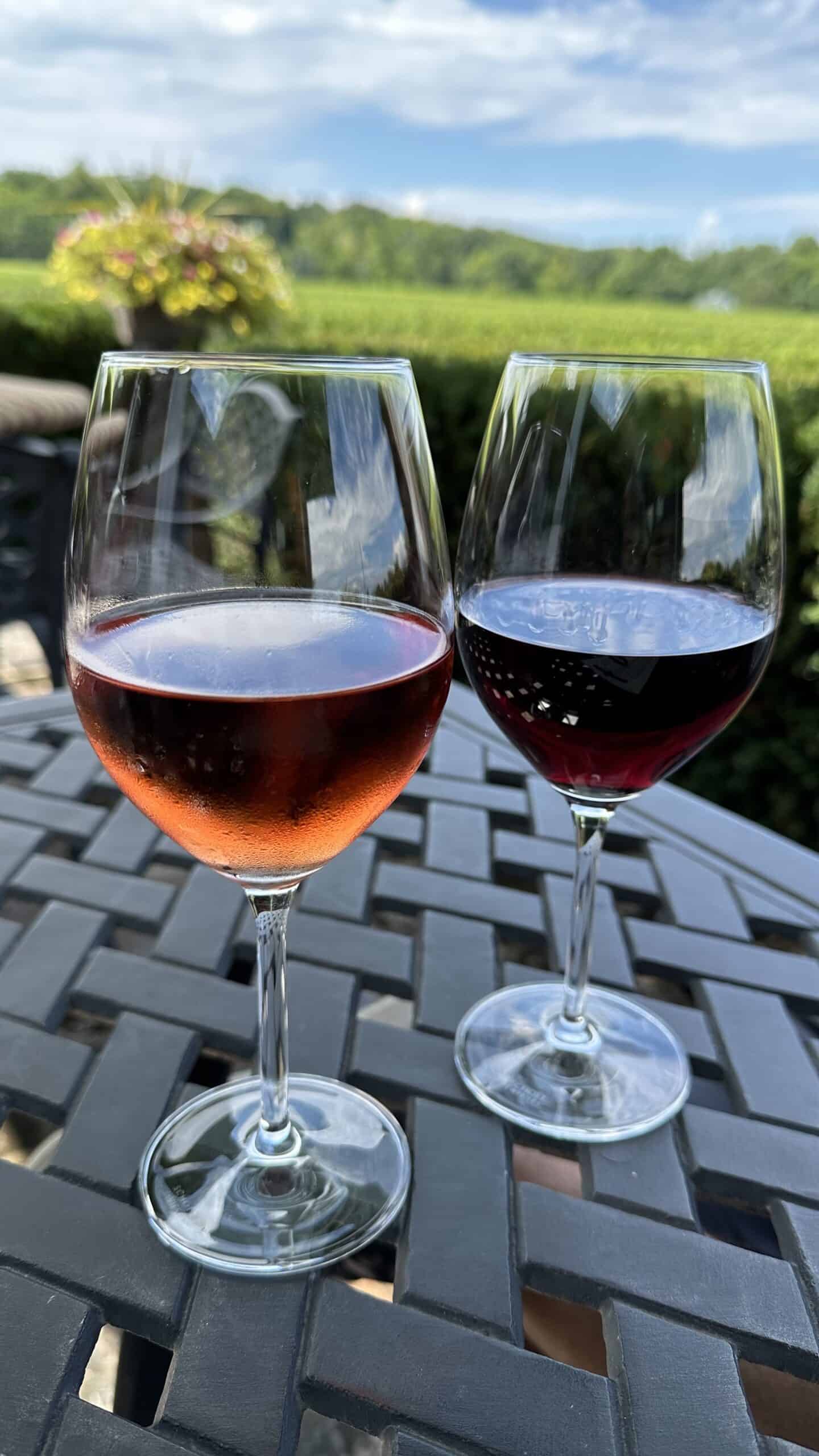 Our tasting at Hidden Bench