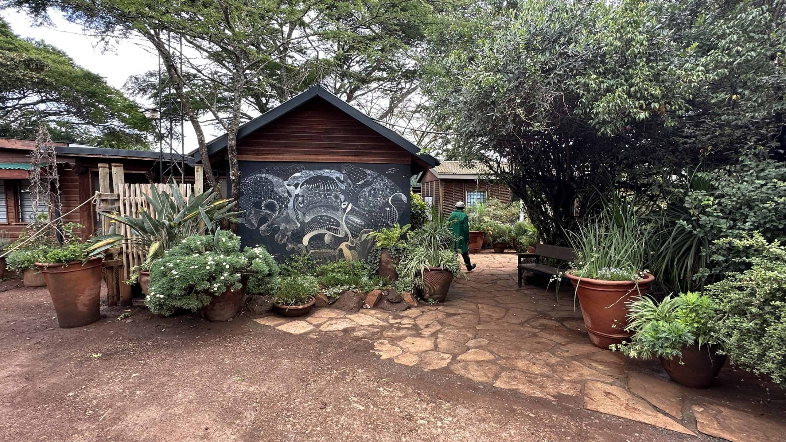 Entrance to the Sheldrick nursery
