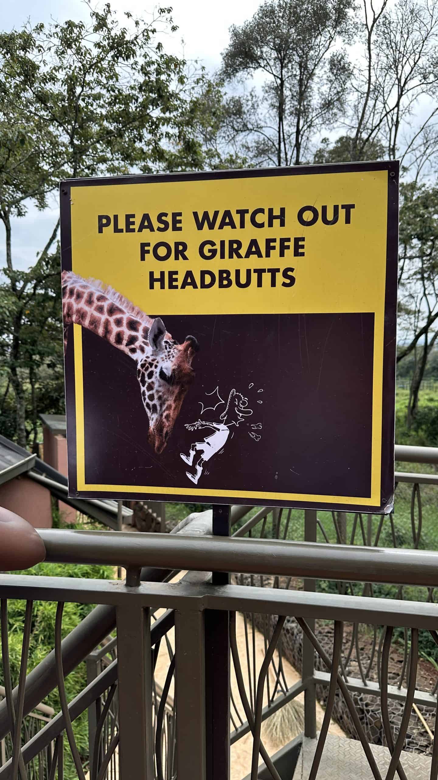 Head butt sign