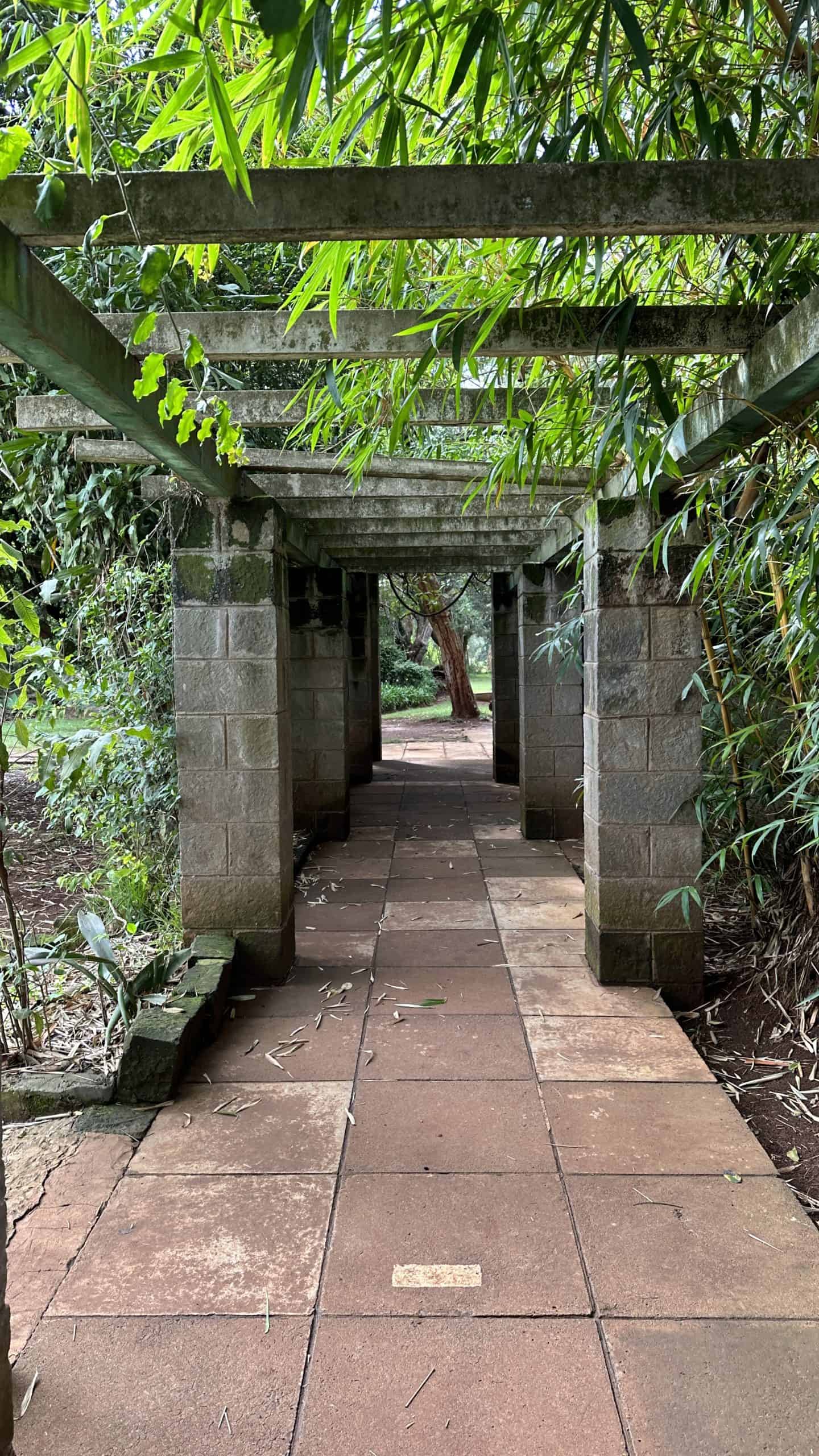 Pathways on the grounds