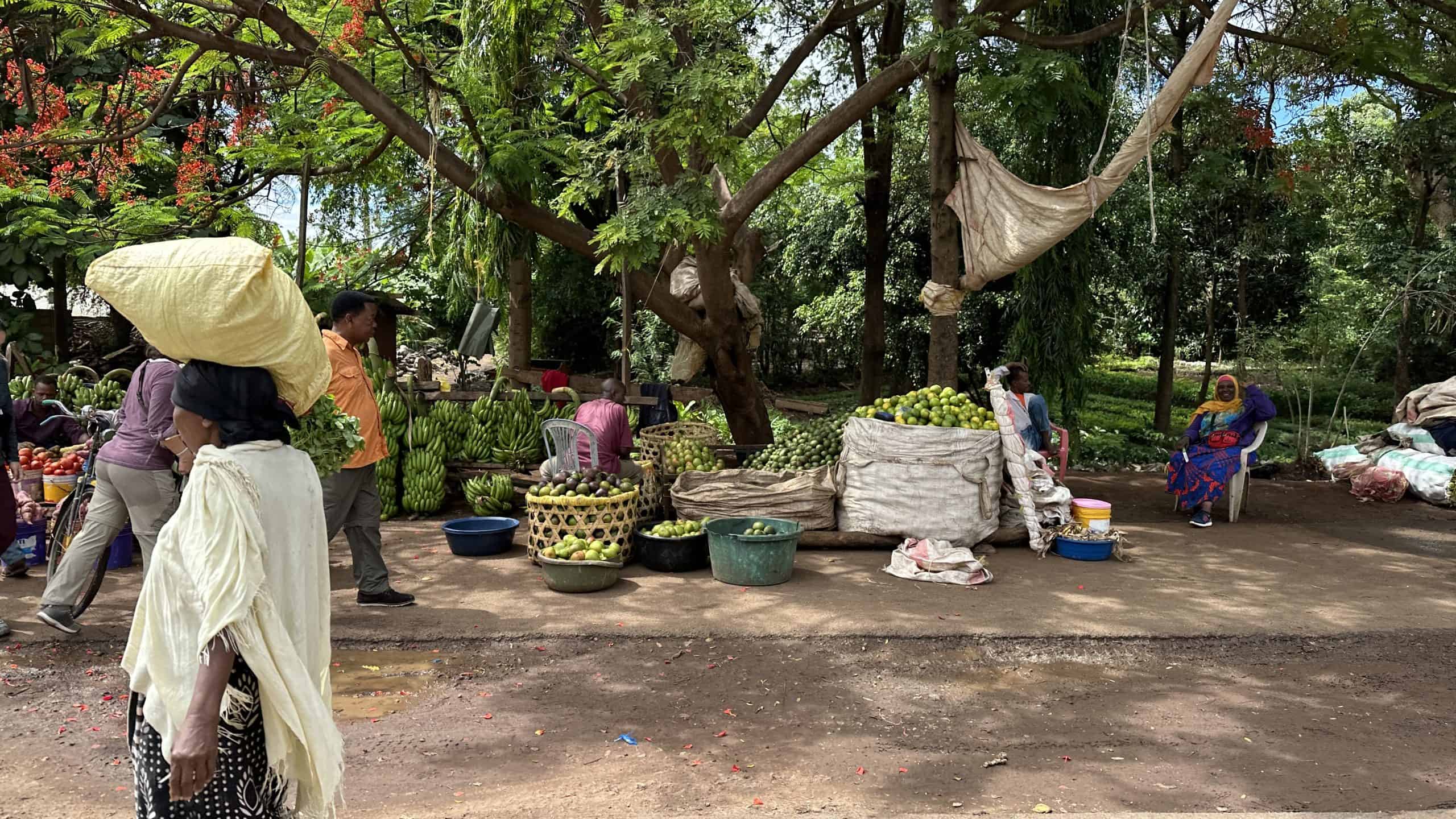 Fresh fruit stands