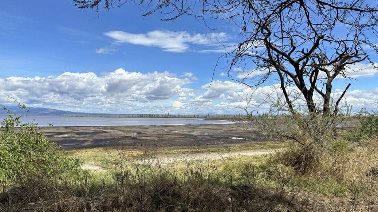 Manyara National Park – A Park With A View