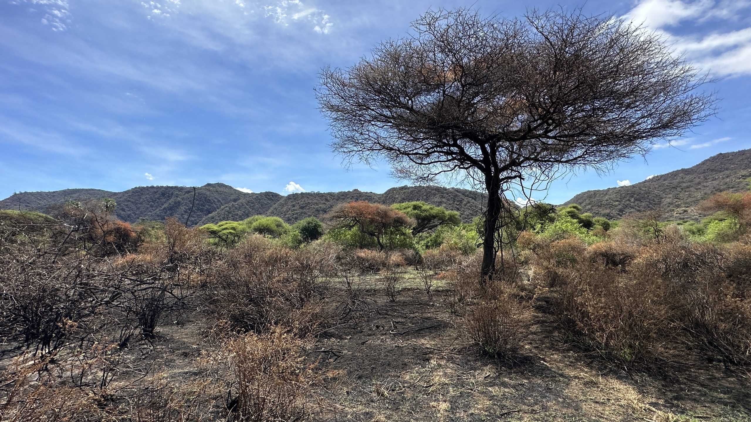 Beautiful scenery in Manyara National Park