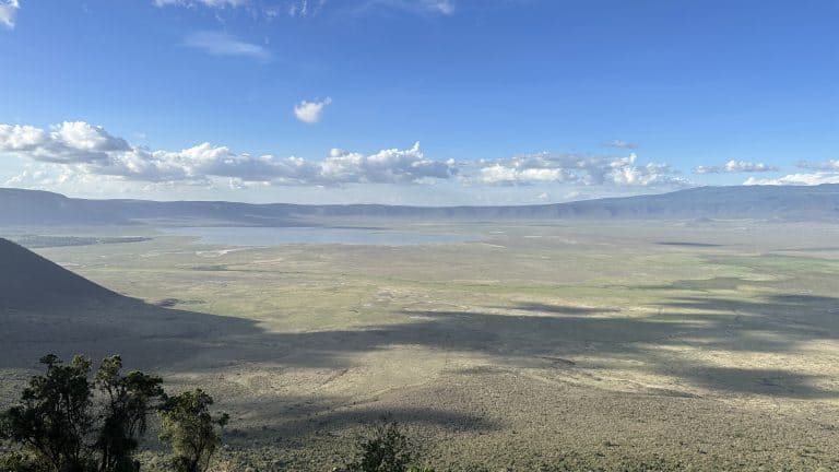Animals In Ngorongoro Crater – What Awesome Sights You Can Expect To See