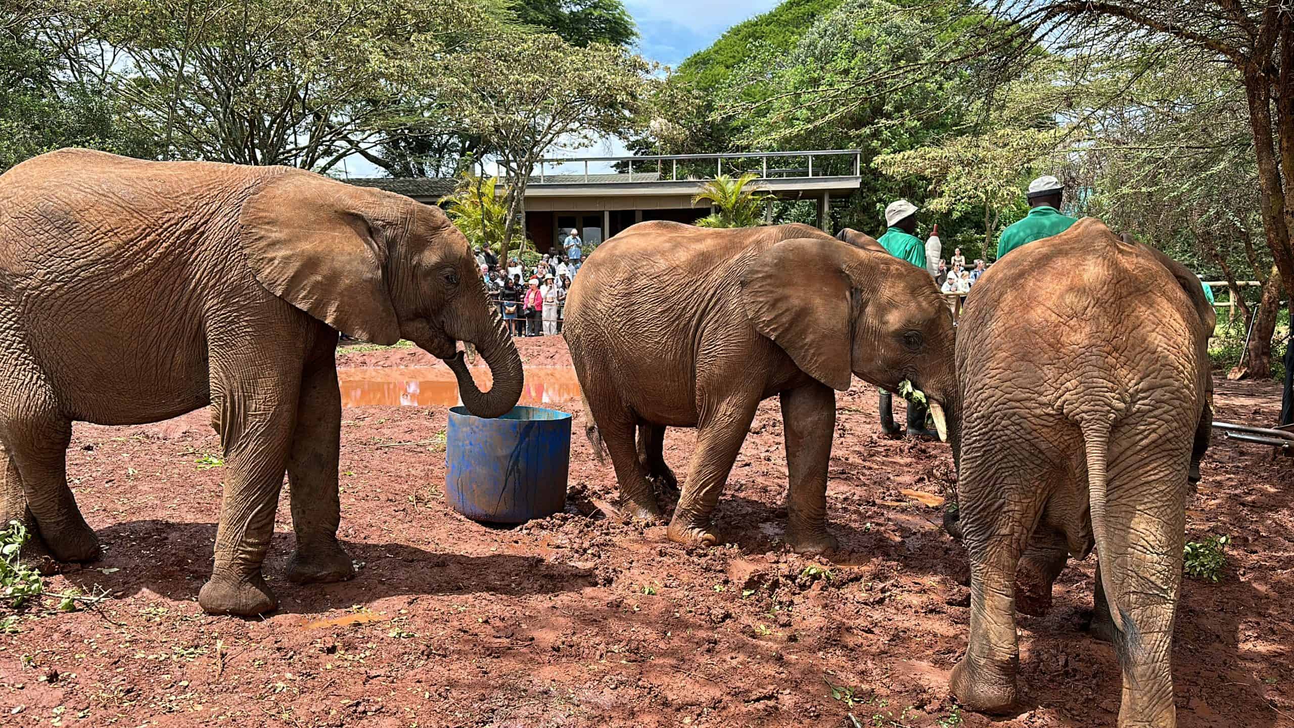 Babies playing