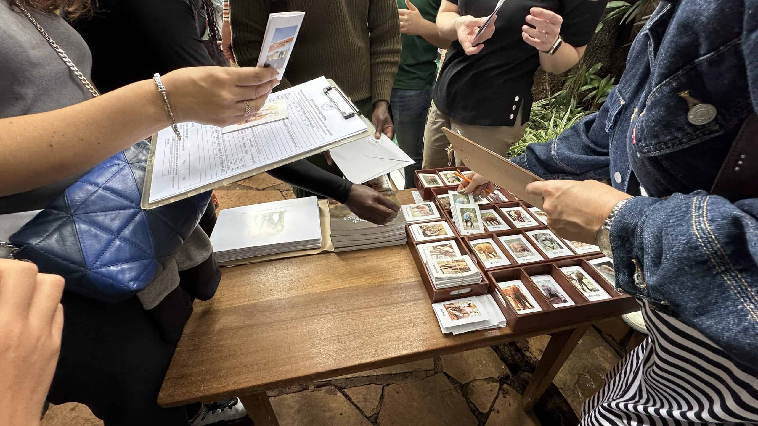 adoption table at the elephant orphanage Nairobi