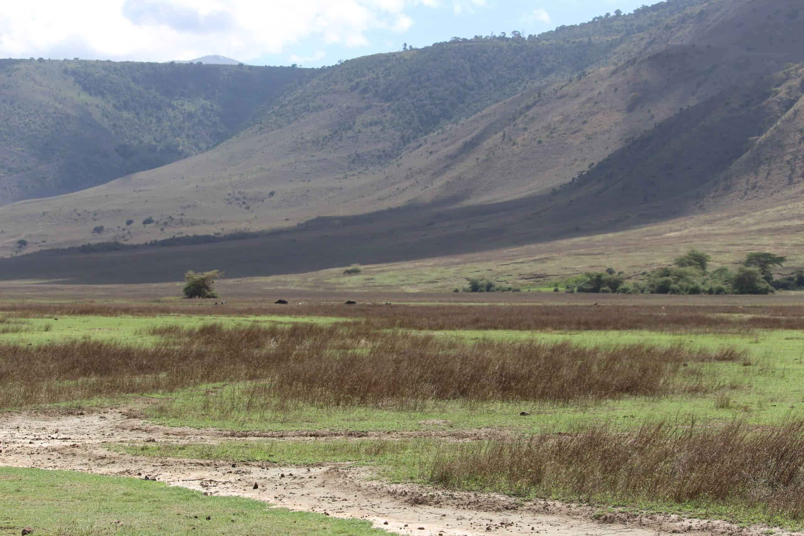 Inside the Ngorongoro Crater