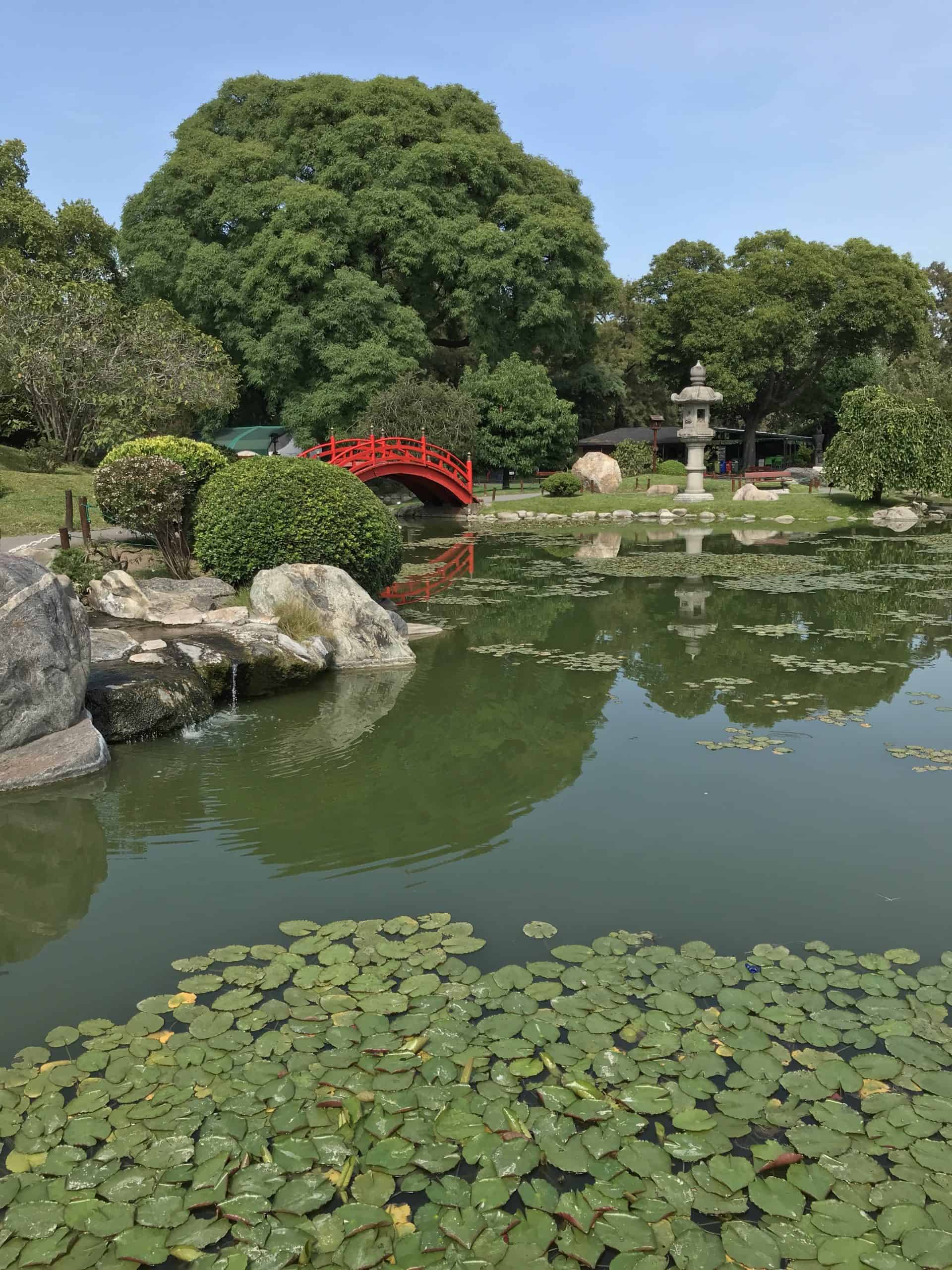 Divine Bridge