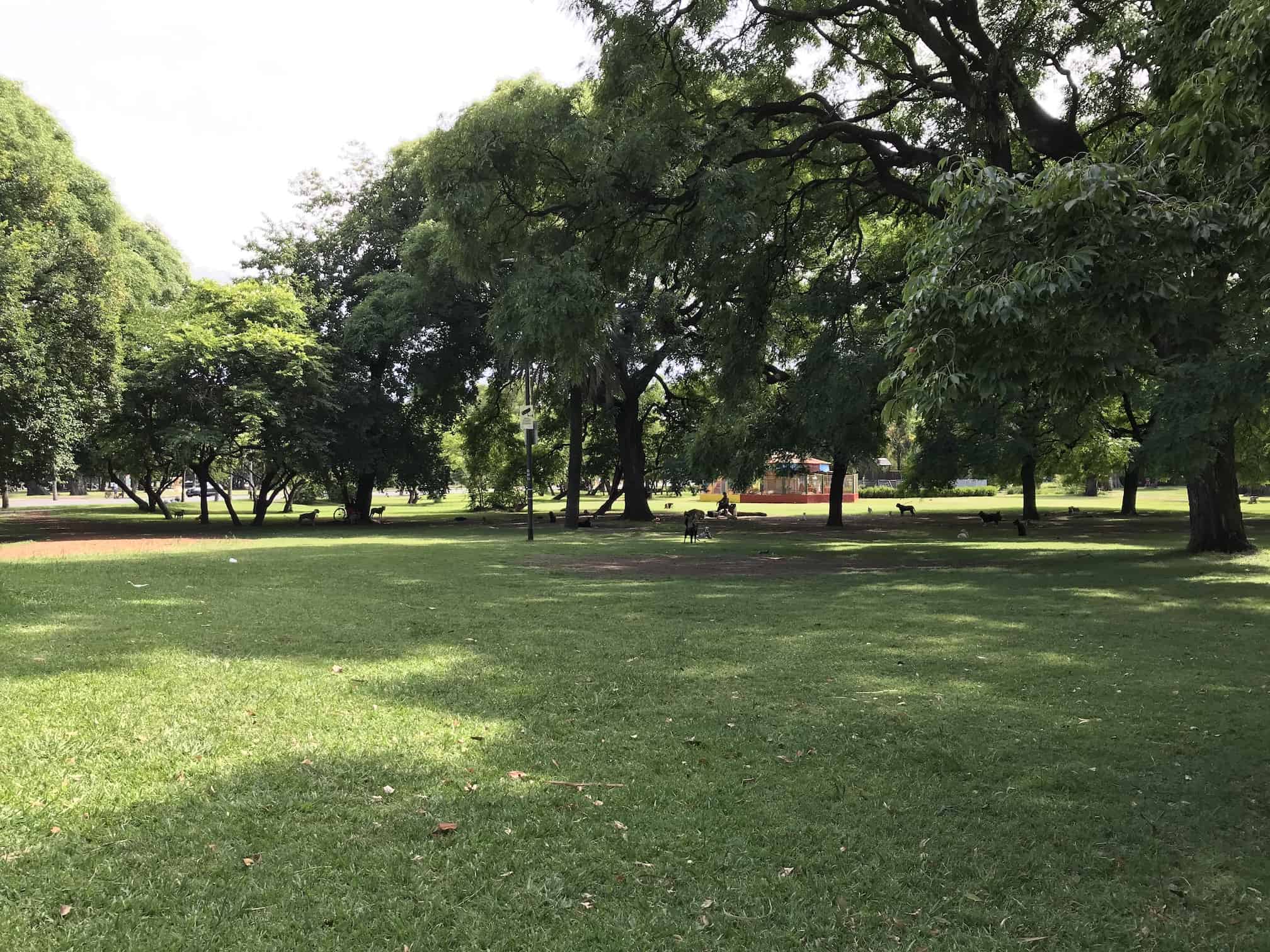 Park area in Buenos Aires