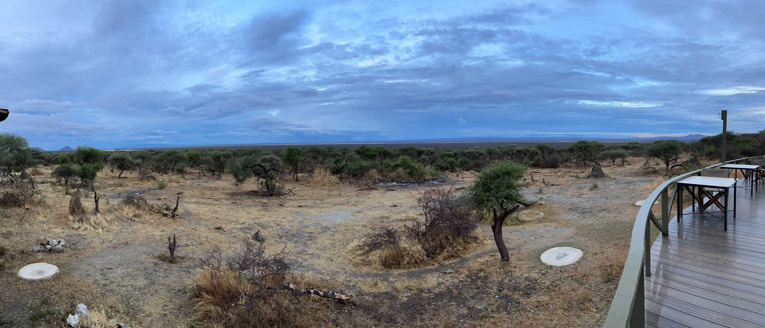View from the deck
