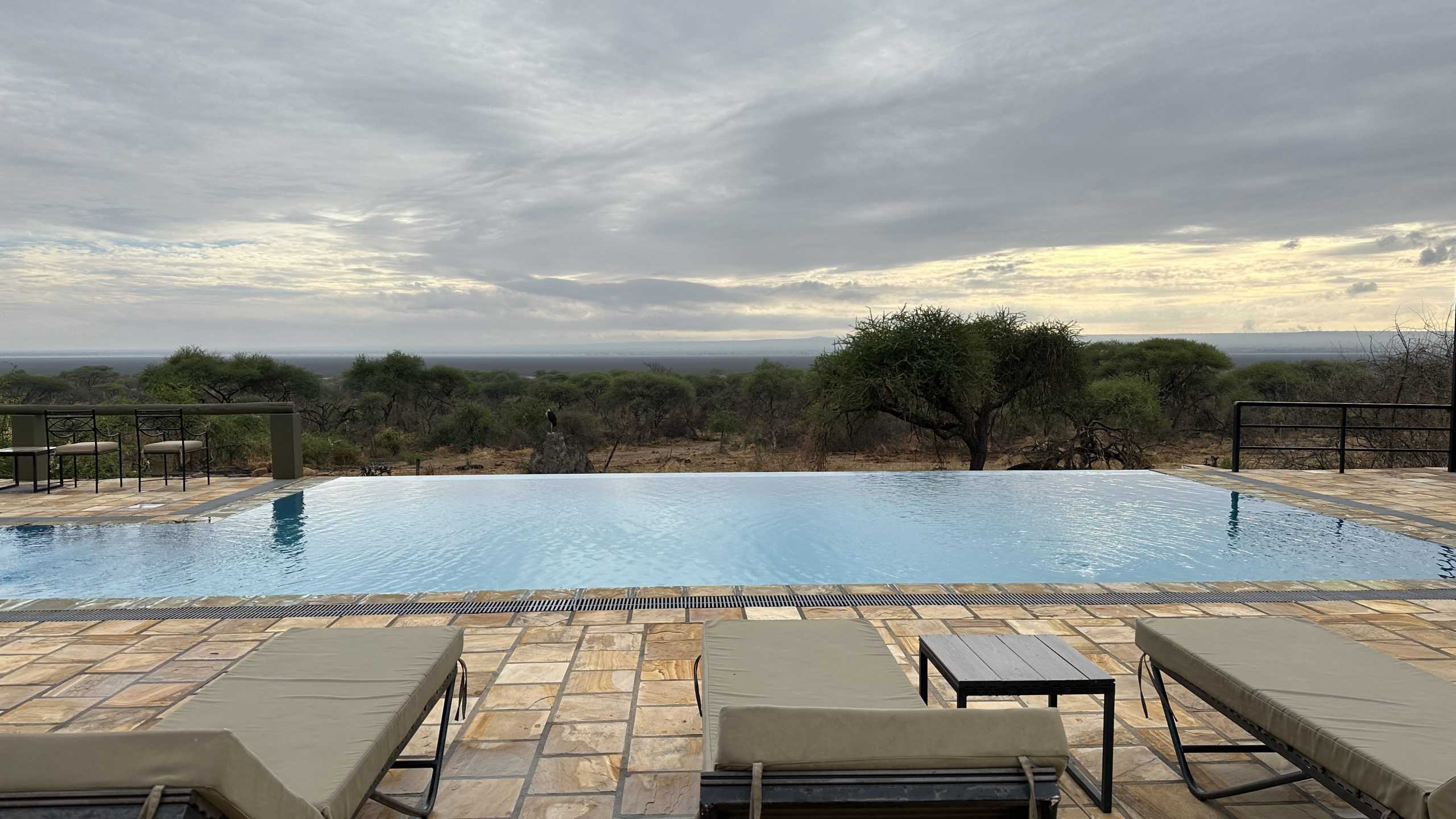 Swimming pool on the property