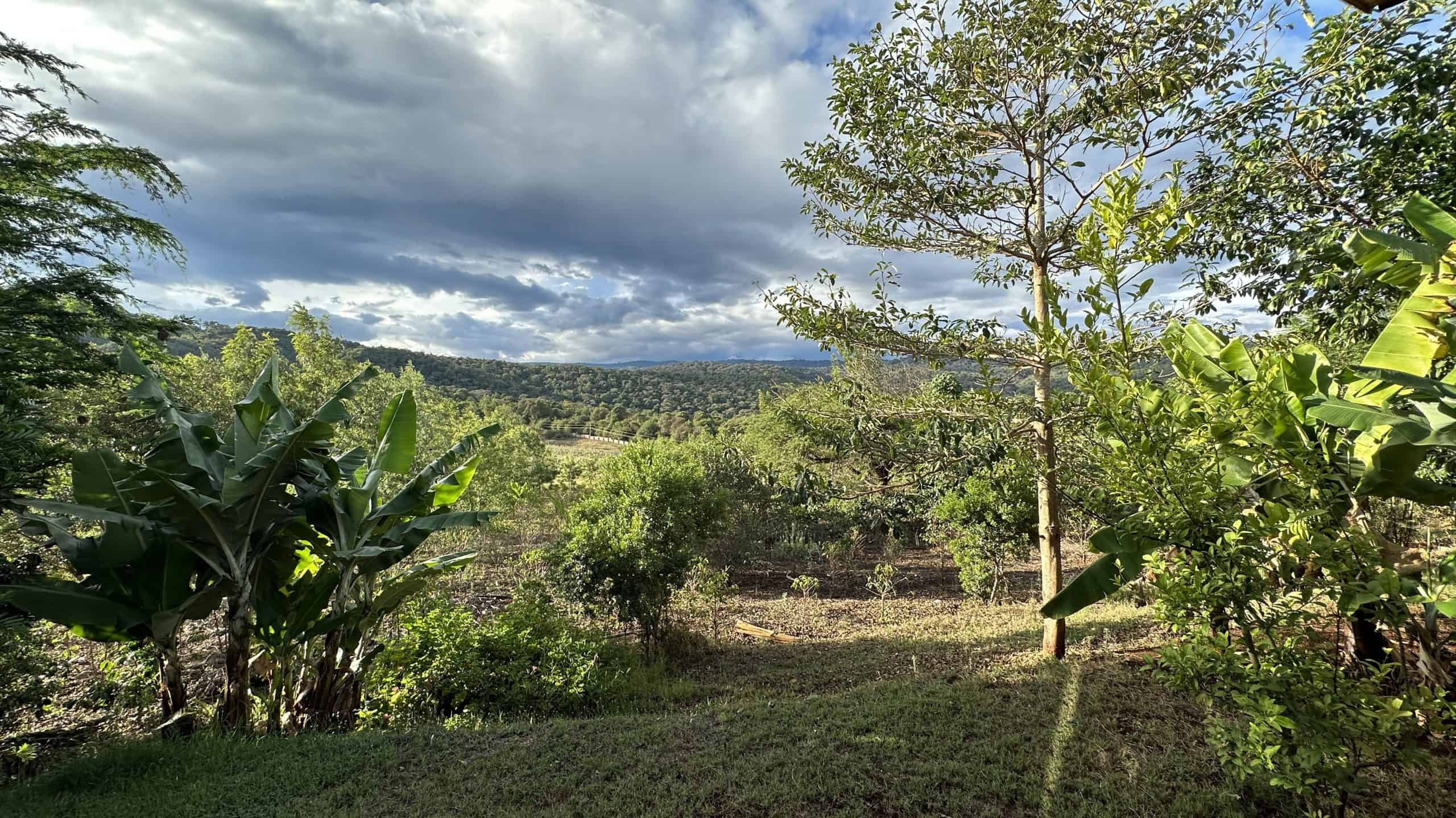 Grounds of the property