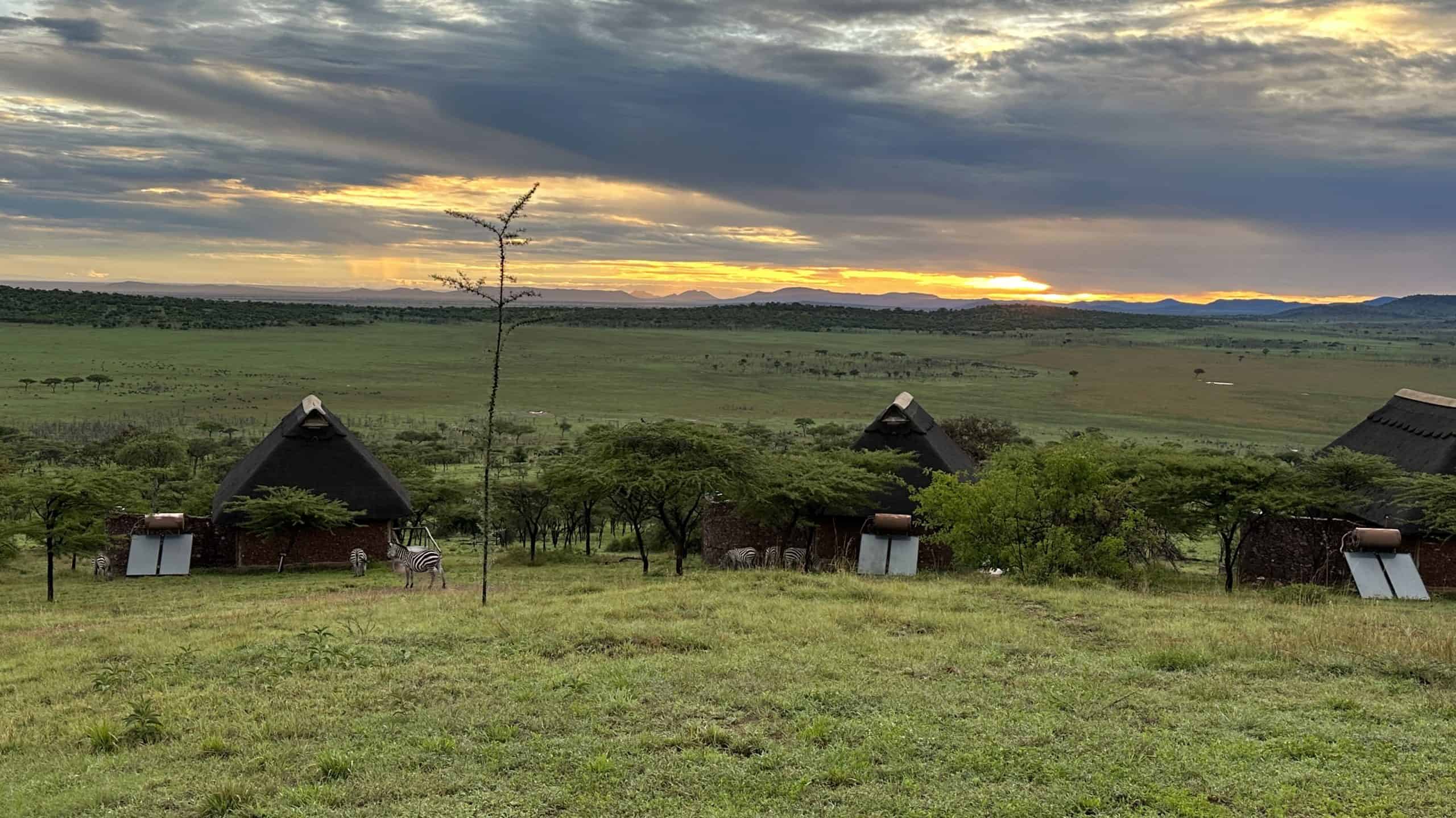 View of the property with zebra