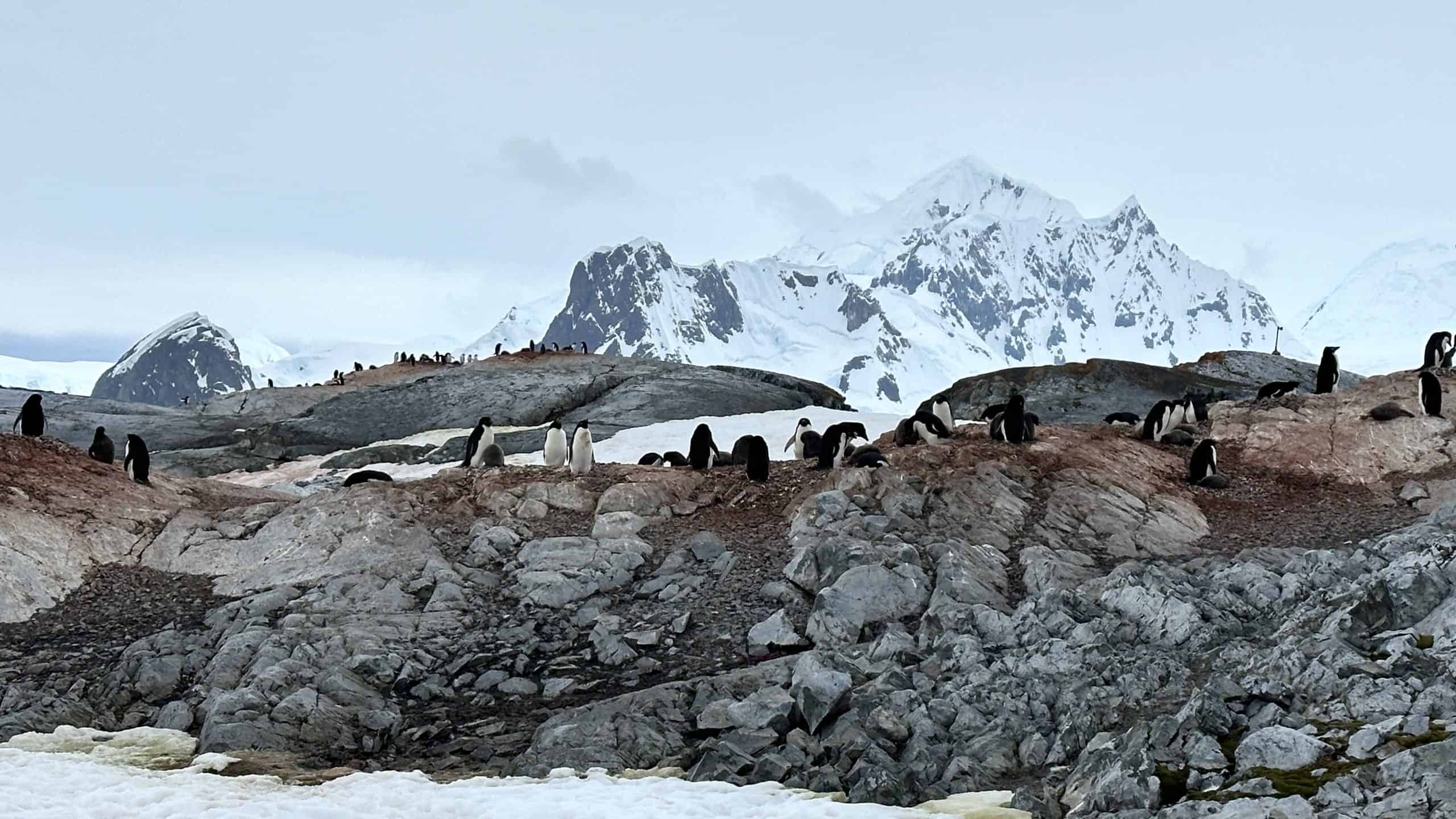 Beautiful scenery in Antarctica