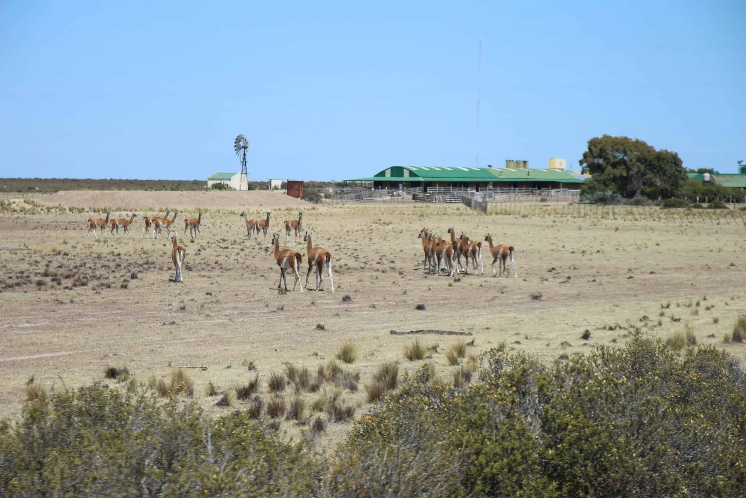 Ranch property