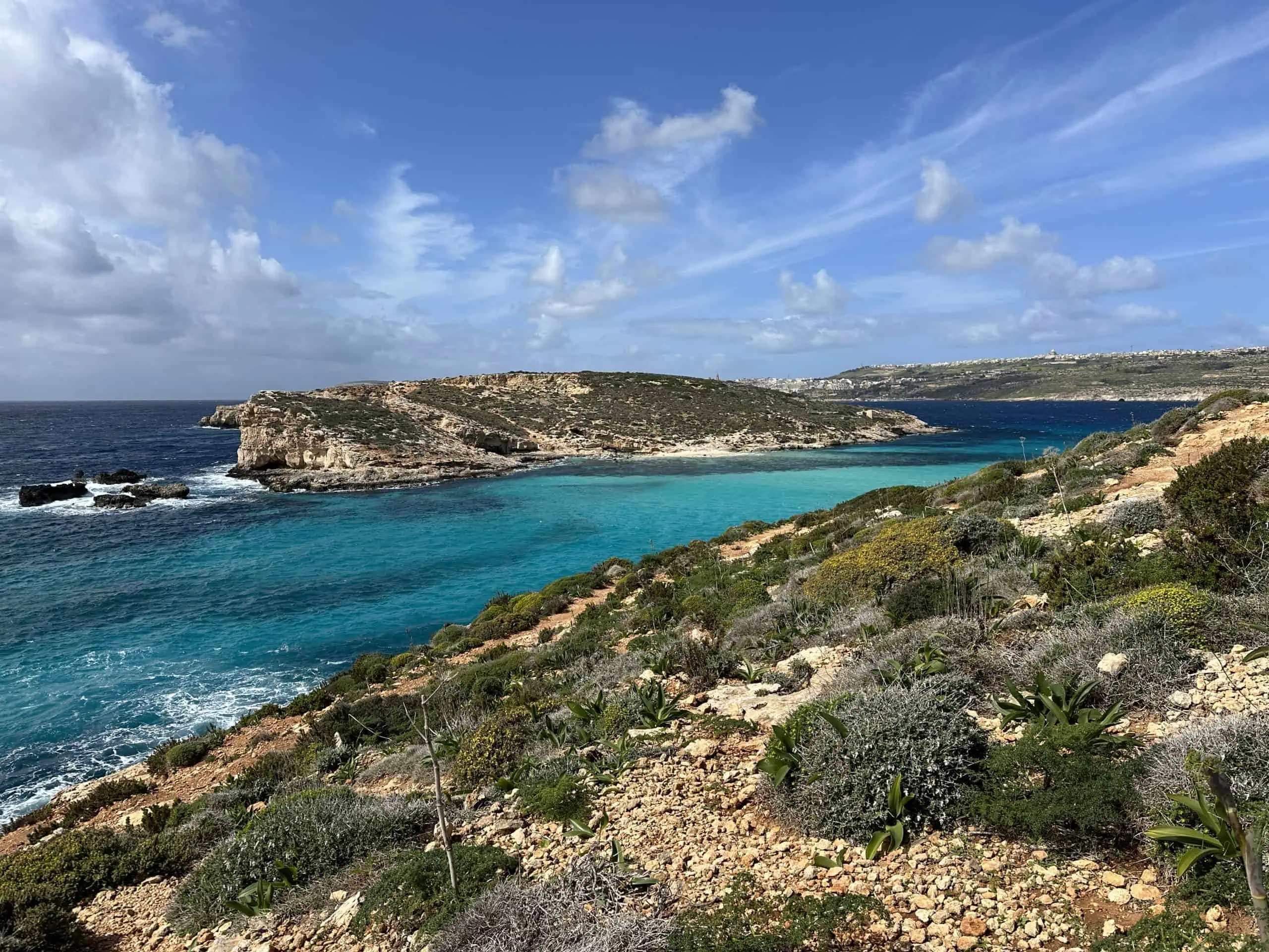The flora and fauna of Comino