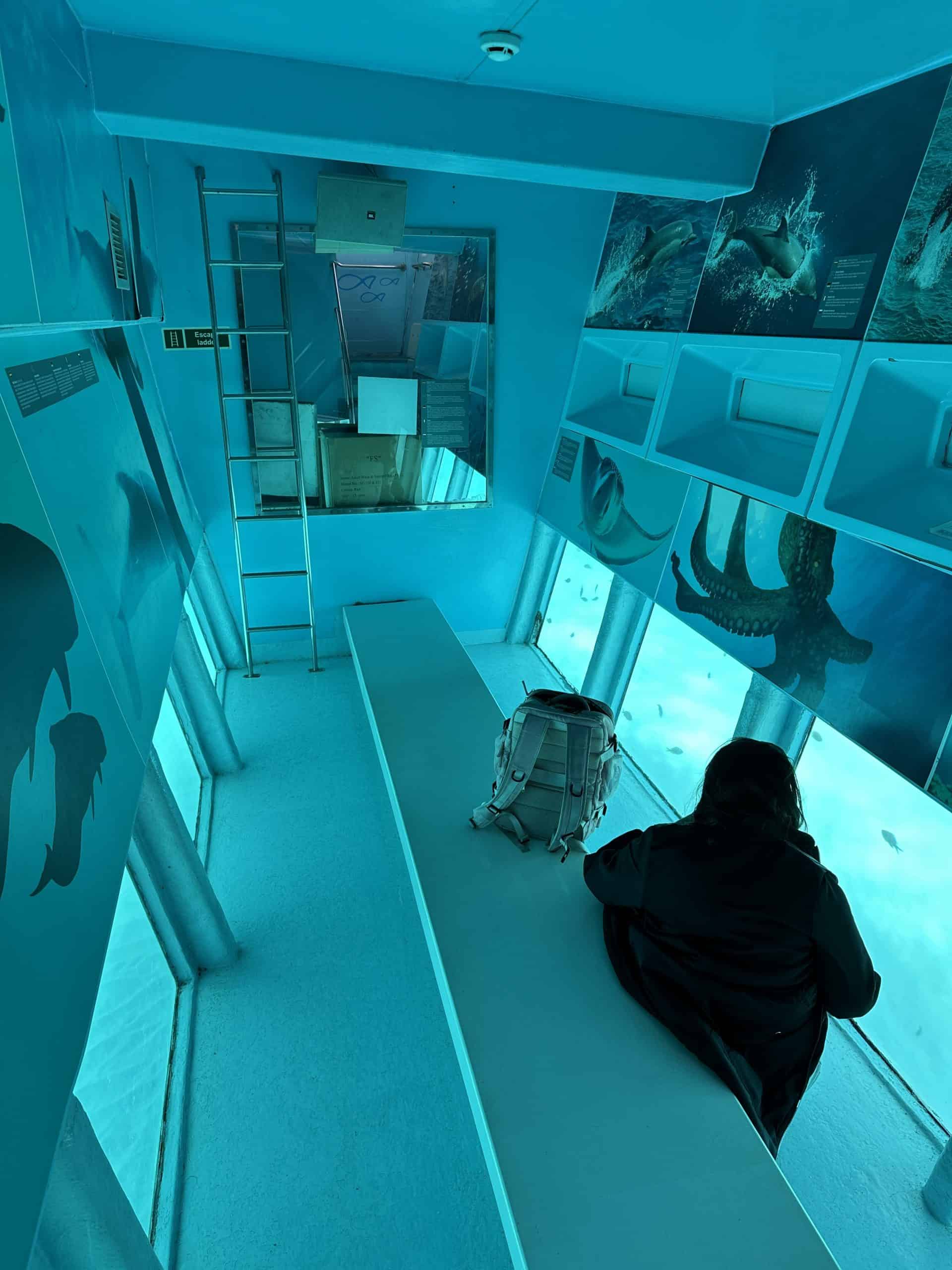 An underwater viewing area in the bottom of the boat