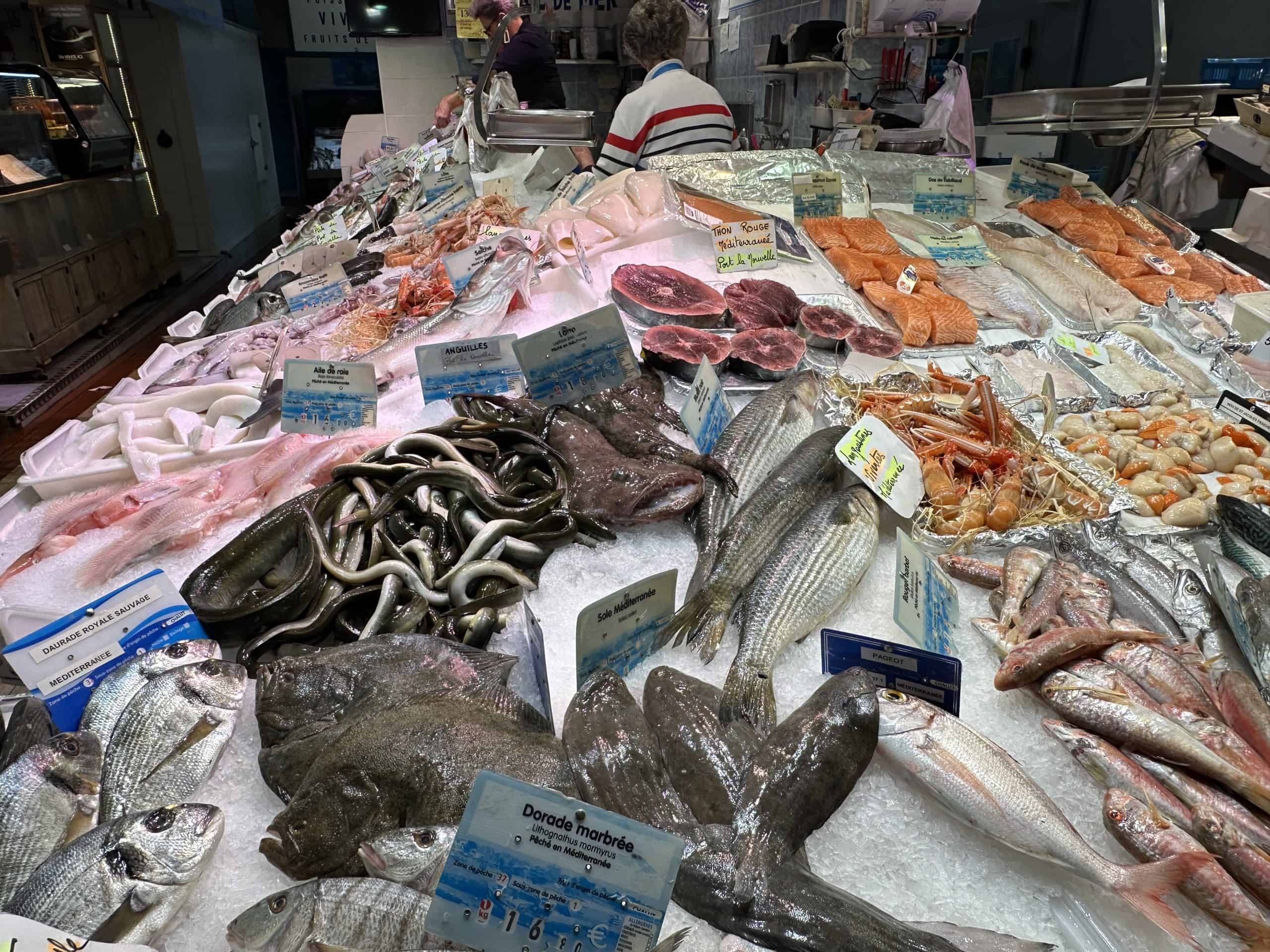 Fish