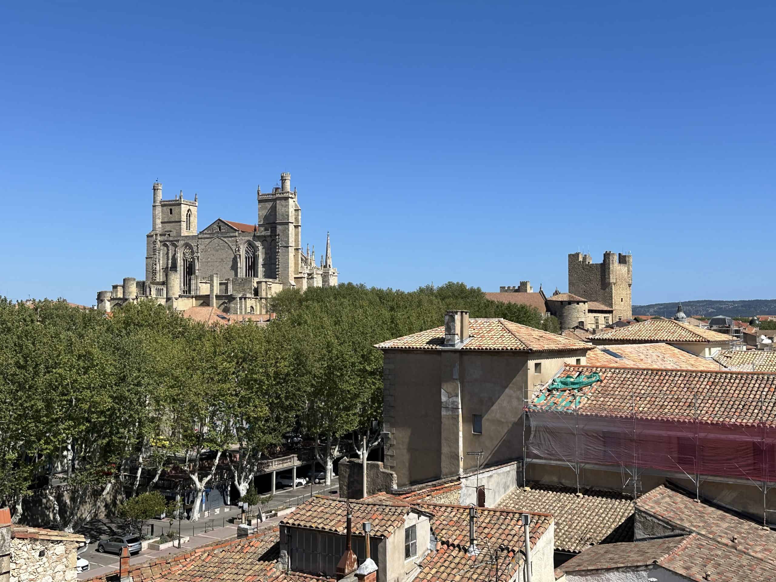 View from the Couvent des Carmes roofftop